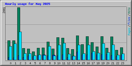 Hourly usage for May 2025