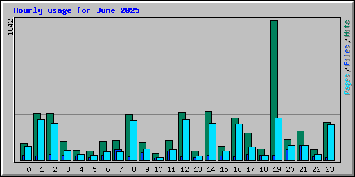 Hourly usage for June 2025