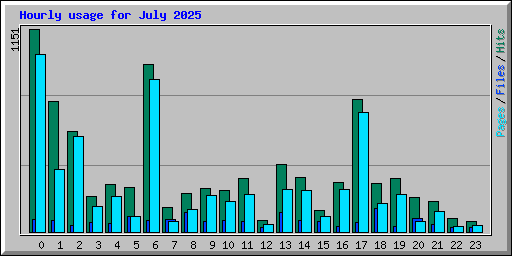 Hourly usage for July 2025
